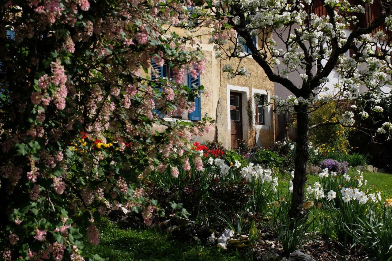 La Foyere Bed & Breakfast La Plagne Eksteriør bilde